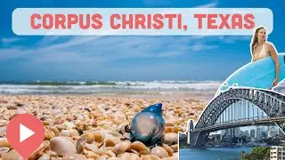 Best Things to Do in Corpus Christi, Texas