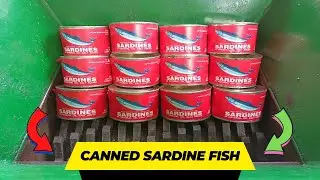 Canned Sardine vs Fast Shredder Machine | Amazing Explosion Canned Fish ASMR Satisfying