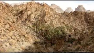 Lost Palms Oasis
