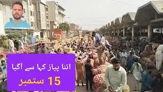 Sabzi Mandi Faisalabad Piaz Ki Nilami | 15 September 2024 سبزی منڈی سدھار فیصل آباد میں پیاز کی بولی