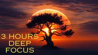 Deep Focus Music for Study and Work 🎧 4 Hours Amb
