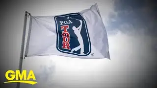 Golf world reacts to bombshell PGA, LIV merger l GMA