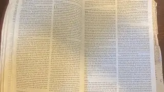 Crossway ESV thinline imitation leather 10 yr crash test/review