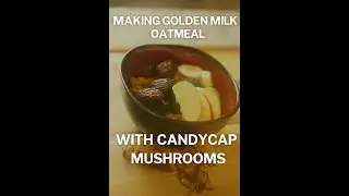 Golden Milk Oatmeal with Candy Cap mushrooms