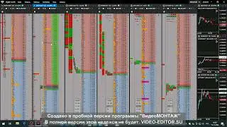 PNUT наклонка 09.12.2024