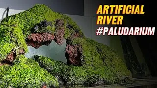 Making an artificial river under the hill - paludarium - aquaterrarium