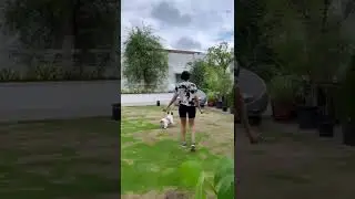 😵 😵 😵 Actress Samantha Playing with her Dog | #Shorts #TamilTalks