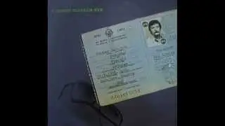 HULJE, PIĆE I ŽENE - DAVORIN POPOVIĆ (1984)