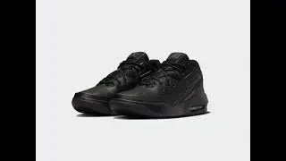 Кроссовки Jordan Max Aura 5 Black DZ4353-001