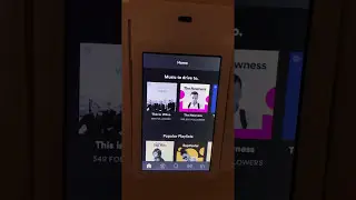 Wink Relay Spotify pt2