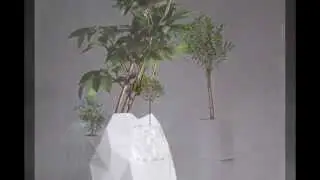 Shape-Shifting &lsquo;Origami&rsquo; Pots That Grow Together With Your Plants