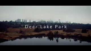 DEER LAKE PARK Drone Footage 4K