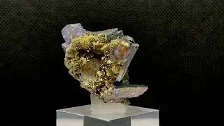 FLUORAPATITE, PYRITE, ARSENOPYRITE, SIDERITE, MUSCOVITE 1P326