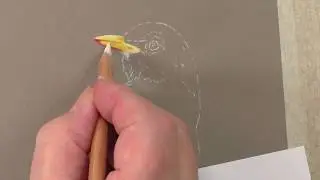Draw an American Robin Beak | Pastel Pencil Tutorial