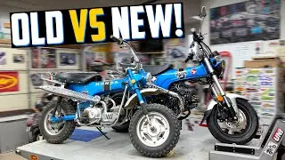 Old vs New: Here's What A Honda Mechanic Thinks Of The Dax 125 vs a 1970 CT70!