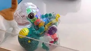 Fun New Dinosaur Robot STEM Toy For Future Engineer