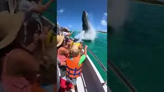 Humpback Whale Breaches Close to Family Boat in Hawaii &ndash; Kids Go Wild! 😱🐋🌴 #shark #fishing #funny