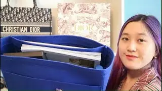 What Can Fit In The Dior Book Tote using Zoomoni Bag Organizer