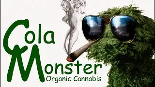 🌱🎤☀️2022 Organic Outdoor Grown Jilly Fox and OGKZ Feminized-Week 1 of Flowering for OGKZ☀️🎤🌱
