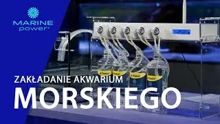 TROPICAL MARINE POWER | Jak założyć akwarium morskie?
