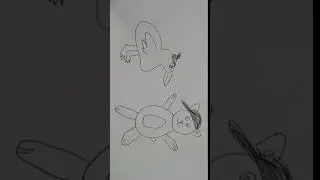BearQuack begins...