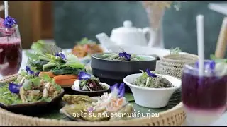 The Heart of the Living Library - Laos