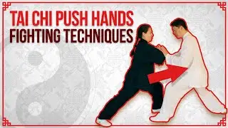 太極推手Tai Chi Fighting | Push Hands Techniques