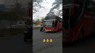 Bus Bintang Zahira | Skylander Tronton #basuri