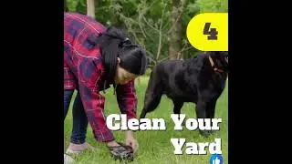 Tip on Selling Your Home with Pets