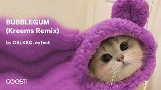 OBLXKQ, eyfect - BUBBLEGUM (Kreems Remix)