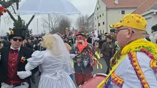 KOZA MĄTEWSKA 2025 WŁOCŁAWEK 