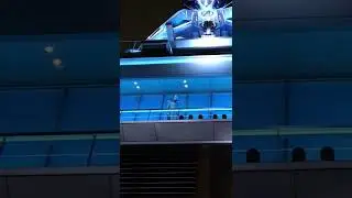 Moon Knight Keeps Close Watch on Disney California Adventure's Avengers Campus