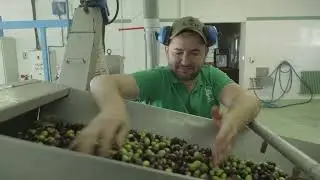 🎬 Film de pr&eacute;sentation  | Mise En Bo&icirc;te Production x Coop&eacute;rative La Belgenti&eacute;roise 🫒