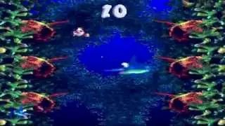 Donkey Kong Country 3 (SNES) Cotton-Top Cove's Bazza's Blockade