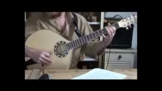 Monaghan jig on electro-acoustic Seidl cittern