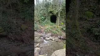 Stella Cilento  sentiero cerreta