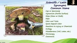 Mushroom ID 201 - Shannon Nix May 2023 (email mycoprof@gmail.com for the identification sheet)