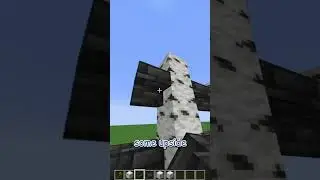 how to build with Quartz and Deepslate in minecraft update 1.21 #shorts