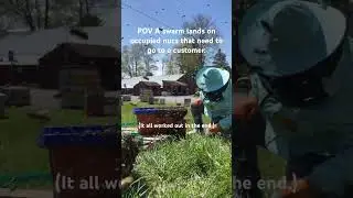 Emotional Arc of a Commercial Beekeeper 🐝 #beekeeperslife  #beeeducation