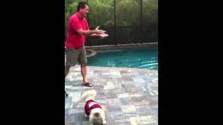 Charlie Plays Badass Defense