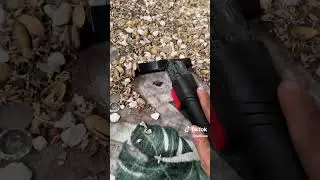 Natures Beauty uphol micd #explore #oddlysatisfying #asmr #asmrcommunity #asmrsounds #asmrvideo
