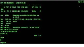 Amadeus-INS Infant with Seat- Ticketing & Ticketing#Amadeus Training#GDS Training#Airline Training