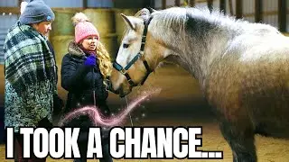 I Finally Did It! Hosting My First Horse Clinic…