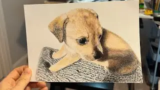 Personalized pet color pencil drawing #pet #colorpencil #drawing #petlovers #dog #puppy 