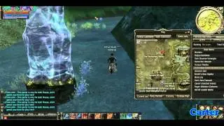 Road to Enchanted Forest Watcher Ruell 55 lvl