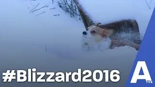 Rita Vs #Blizzard2016