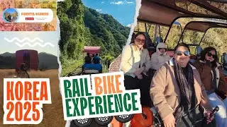 Rail bike experience in Korea! 🇰🇷🇰🇷🇰🇷