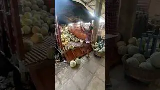Vegetable Market | Vashi APMC market ￼