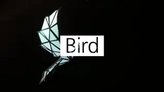 Projection Mapping - Bird with HeavyM
