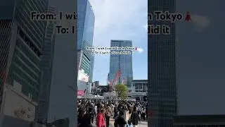 Life in Tokyo 🗼|  Beardo in Japan  | #lifeinjapan #lifeintokyo #nihongo #lifeabroad #japanlife